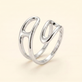 Vienne Ring